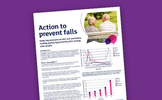 thumbnail of action to prevent falls document