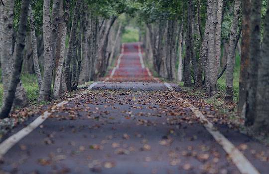 Rural road safety