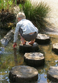 A picture of a child pond dipping.