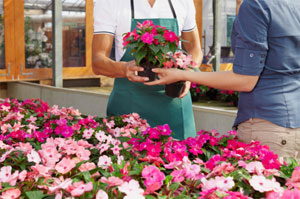 A picture of a florist.