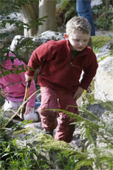 A picture of a child in a natural play area.