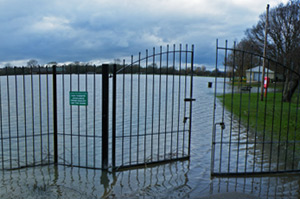 Flooding in a park