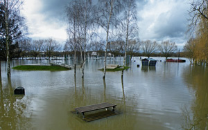 Flooding in a park