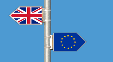    The Great Repeal Bill