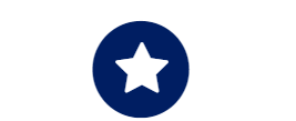 Blue Star Icon