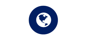 Globe icon