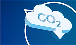 Net-Zero-Thumbnail-edit