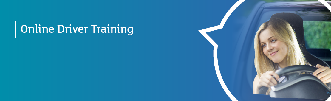 Online Driver Training