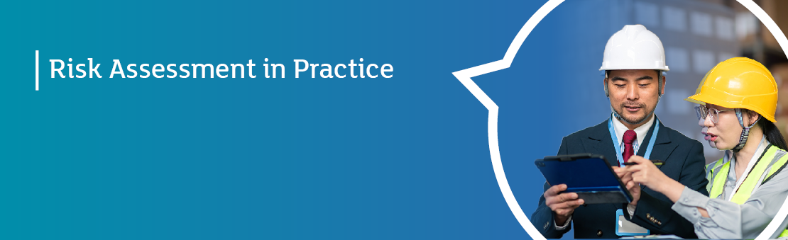 Risk Assessment in Practice