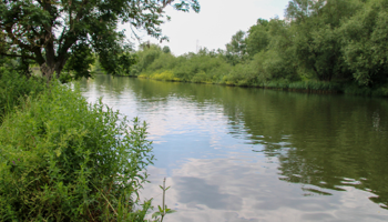 Inland water warning _Hub