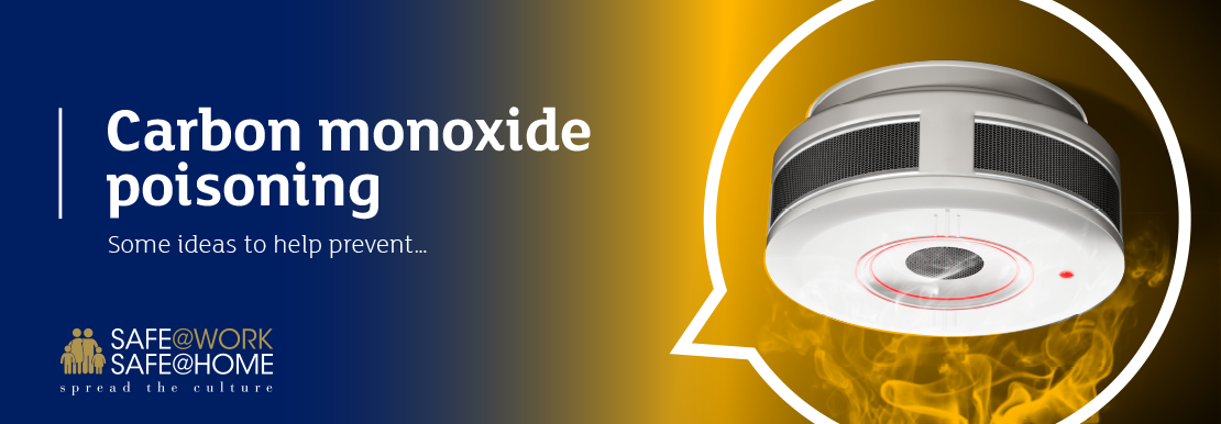 Carbon Monoxide Banner with Logo