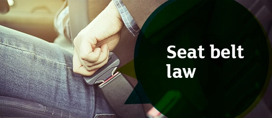 seat-belts image