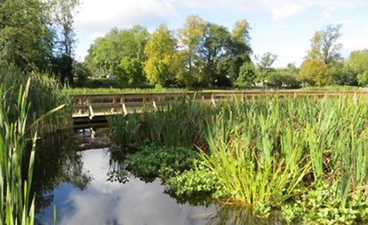 water-safety-thumbnail2