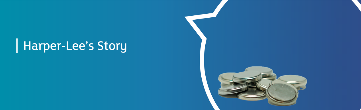 Harper-Lee-Banner