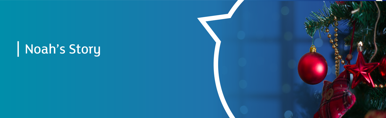 Noahs-Banner_1