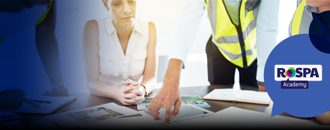 DR-493-2_CDM 2015 In Practice